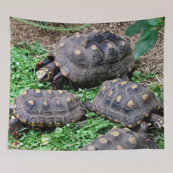 Item preview, Red Footed Tortoise designed and sold by AnnDixon.
