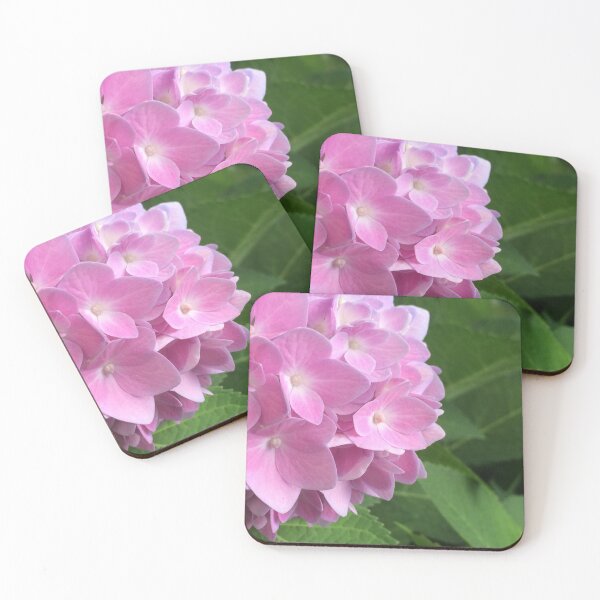 Item preview, Hydrangea Blooms designed and sold by tchpmn115.