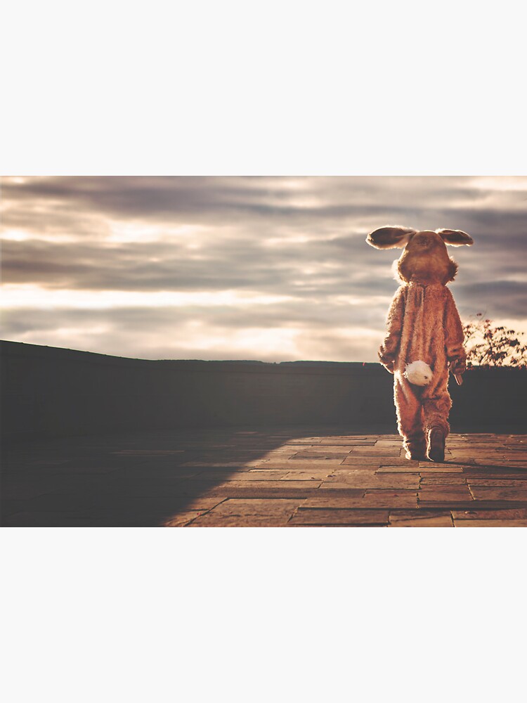 "Lonely Rabbit at Sunset Thoughtful Bunny Photography " Sticker for