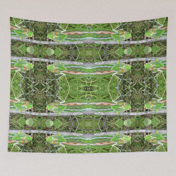 Item preview, Cape Dwarf Chameleon designed and sold by BiodiversityRocks.