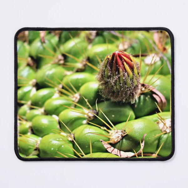 Item preview, A Cactus Bud designed and sold by Martha Sherman.