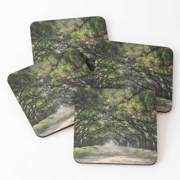 Item preview, Canopy of Oaks at Wormsloe Plantation designed and sold by dbvirago.