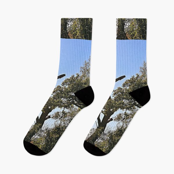 Item preview, Dead Tree Peeking Through designed and sold by Martha Sherman.