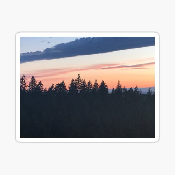 Sunset from the Treetops Sticker