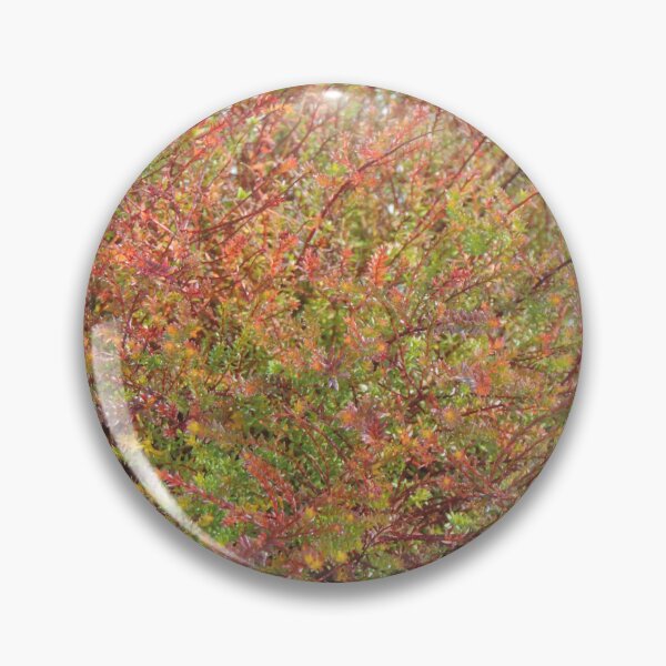 Item preview, Brush on the trail designed and sold by Jmb67.