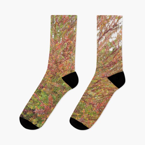Item preview, Brush on the trail designed and sold by Jmb67.