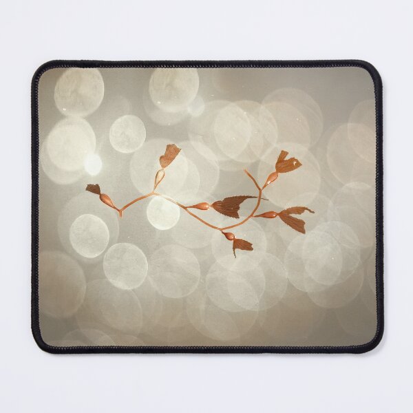 Item preview, Seaweed Beauty designed and sold by CarolM.