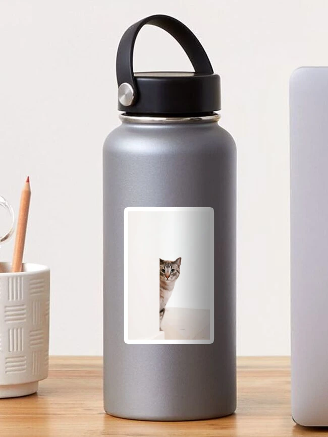 Cats Sticker Pack - Design Corner - Inkwell Modern Handmade