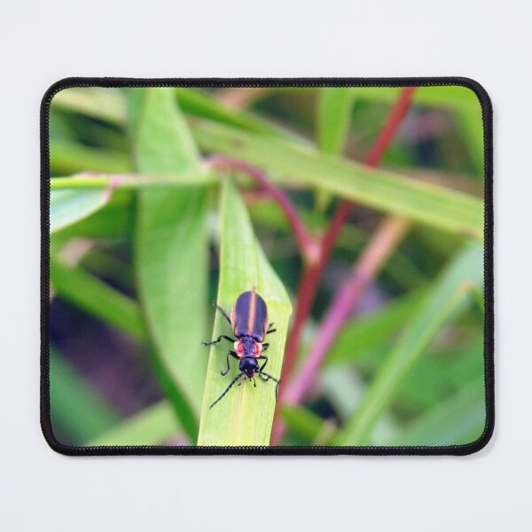 Item preview, Firefly No.1 designed and sold by MaryLinH.