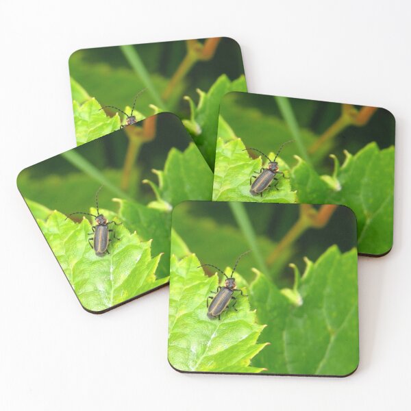Item preview, Firefly No.2 designed and sold by MaryLinH.