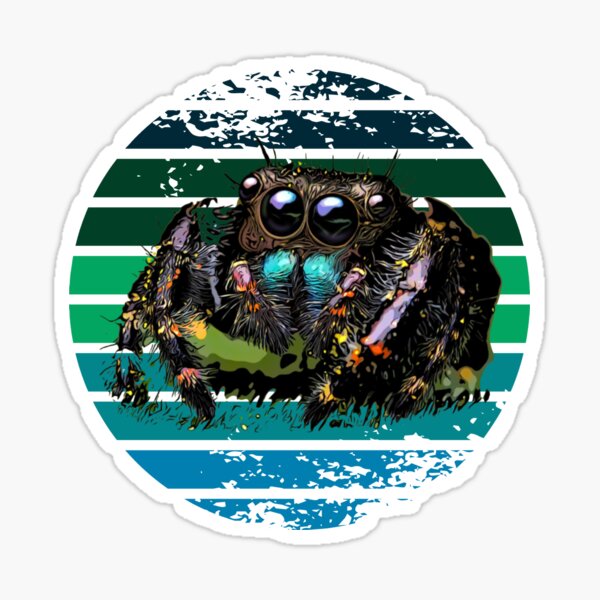 Item preview, Grunge Striped Male Regal Jumping Spider designed and sold by Zurickdesigns.