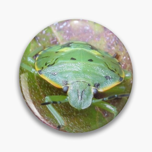 Item preview, Green Shield Bug No.1 designed and sold by MaryLinH.