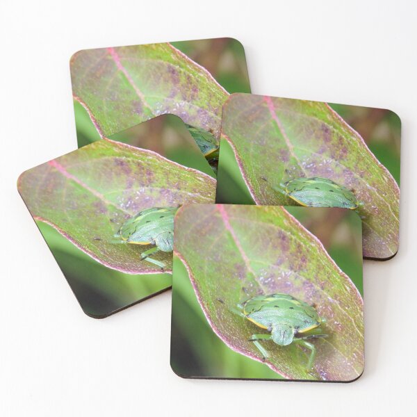 Item preview, Green Shield Bug No.1 designed and sold by MaryLinH.