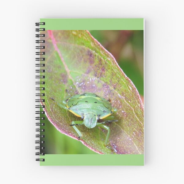 Item preview, Green Shield Bug No.1 designed and sold by MaryLinH.