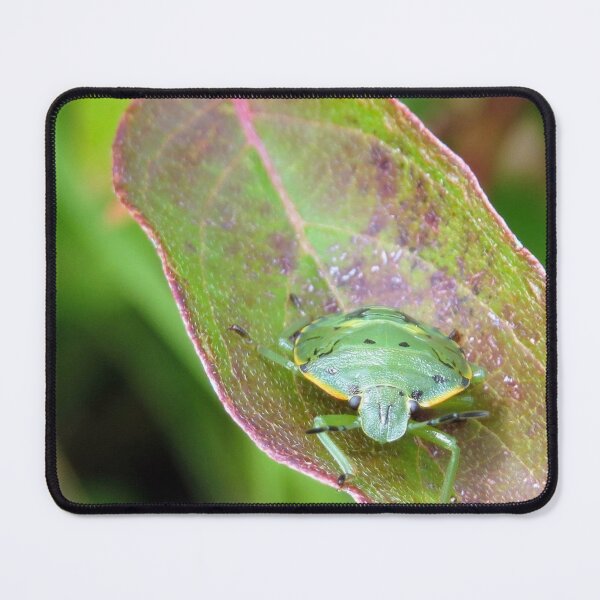 Item preview, Green Shield Bug No.1 designed and sold by MaryLinH.