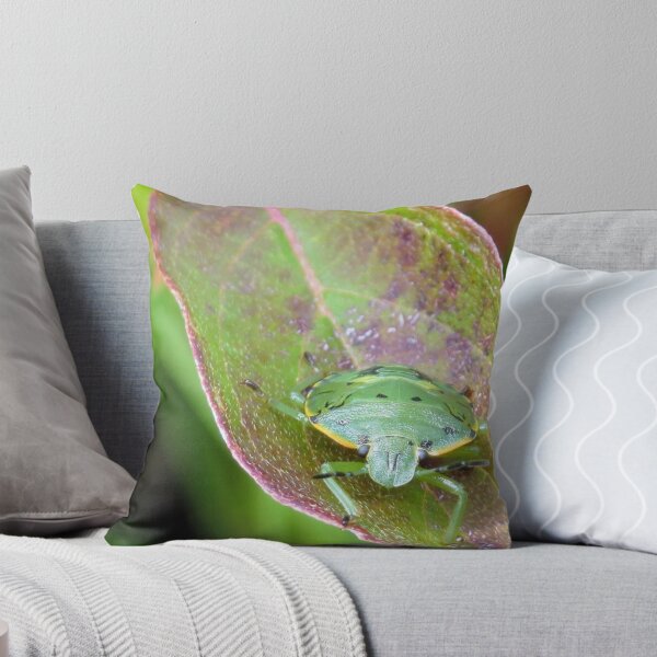 Item preview, Green Shield Bug No.1 designed and sold by MaryLinH.
