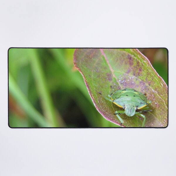 Item preview, Green Shield Bug No.1 designed and sold by MaryLinH.