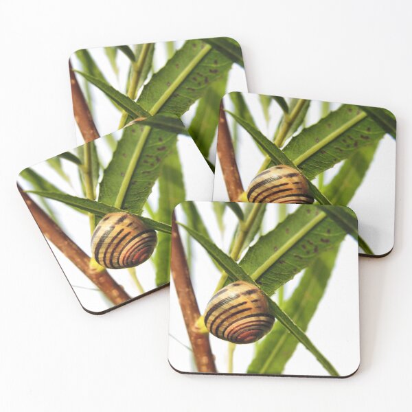 Item preview, Linger - Snail designed and sold by MaryLinH.