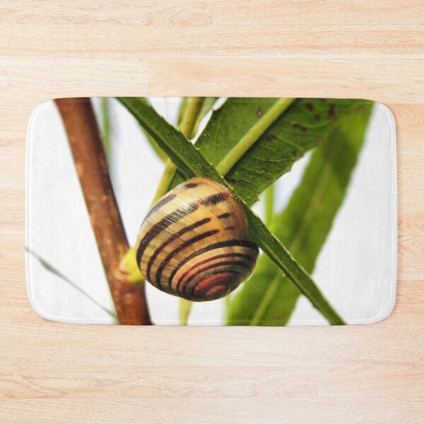 Item preview, Linger - Snail designed and sold by MaryLinH.
