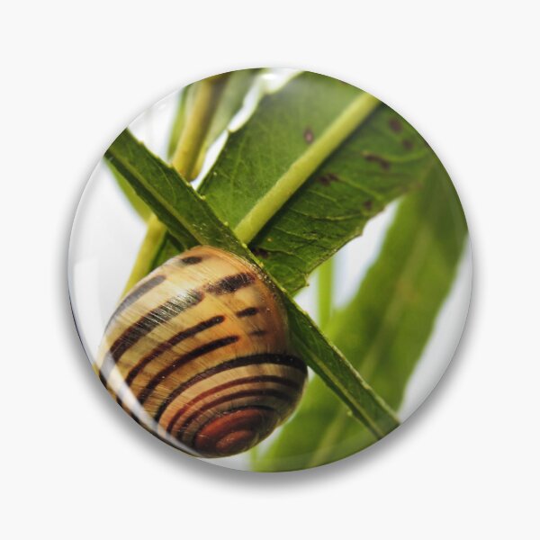 Item preview, Linger - Snail designed and sold by MaryLinH.