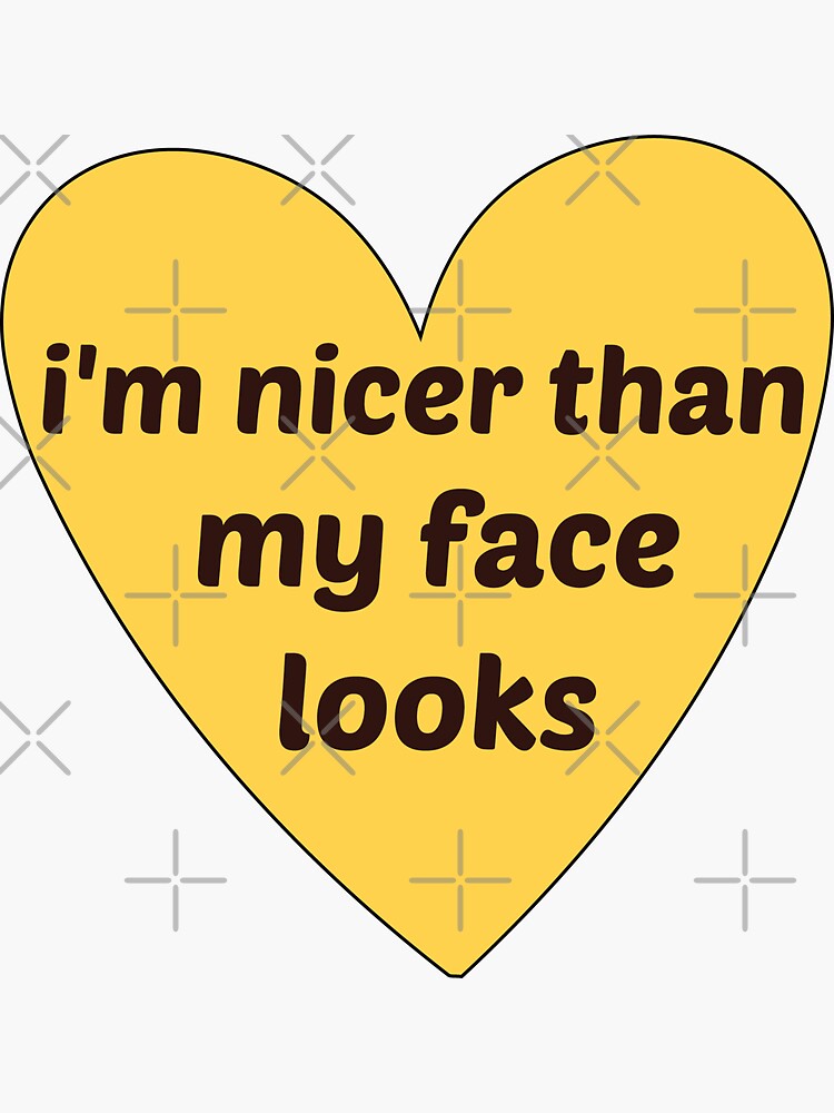 I'm Nicer Than My Face Looks Sticker, Sarcasm Stickers, Laptop Stickers, Water  Bottle Decals, Tumbler Stickers 