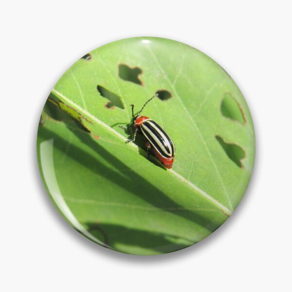 Item preview, Pigweed Flea Beetle designed and sold by MaryLinH.