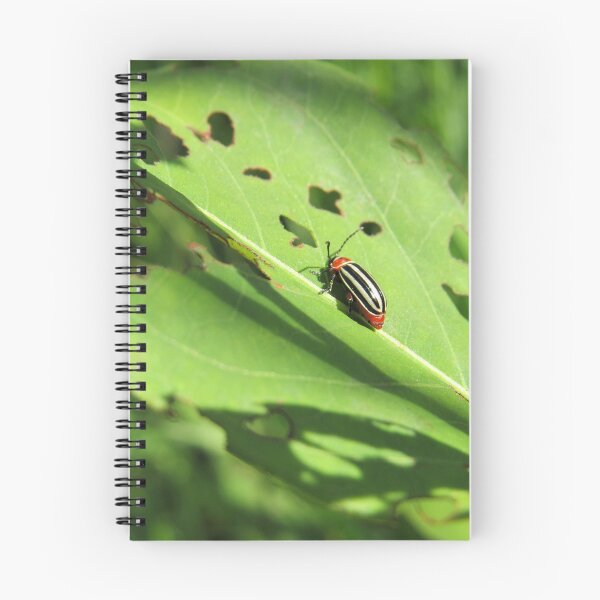 Item preview, Pigweed Flea Beetle designed and sold by MaryLinH.