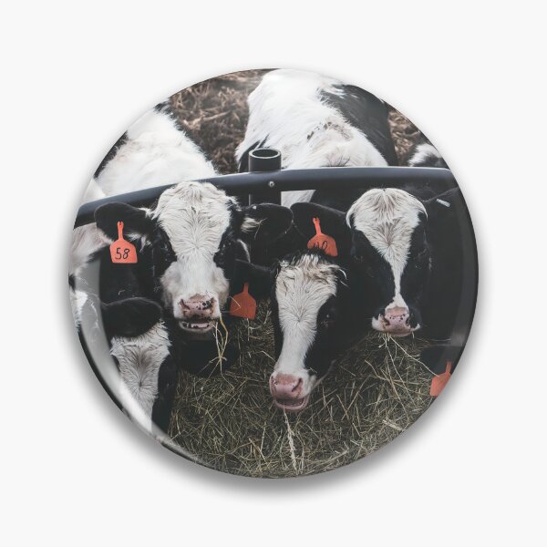 Item preview, Coffee Klatch...Well, Hay Klatch designed and sold by Jim Love.