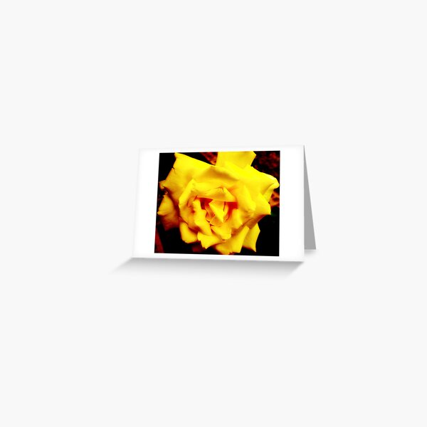Yellow Delight Greeting Card