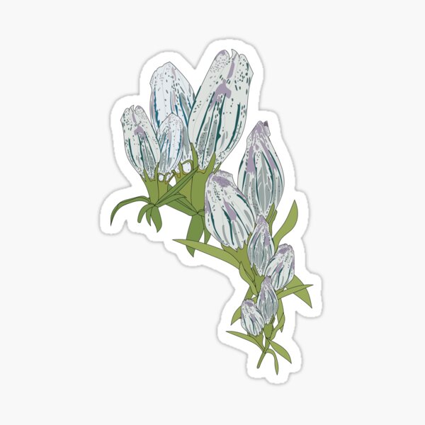 Arctic Gentian Sticker