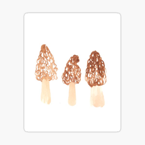 Morels Sticker