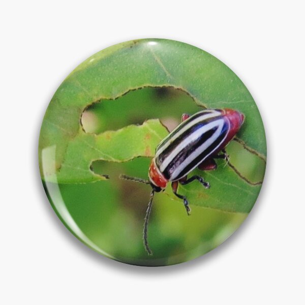 Item preview, Pigweed Beetle No, 3 designed and sold by MaryLinH.
