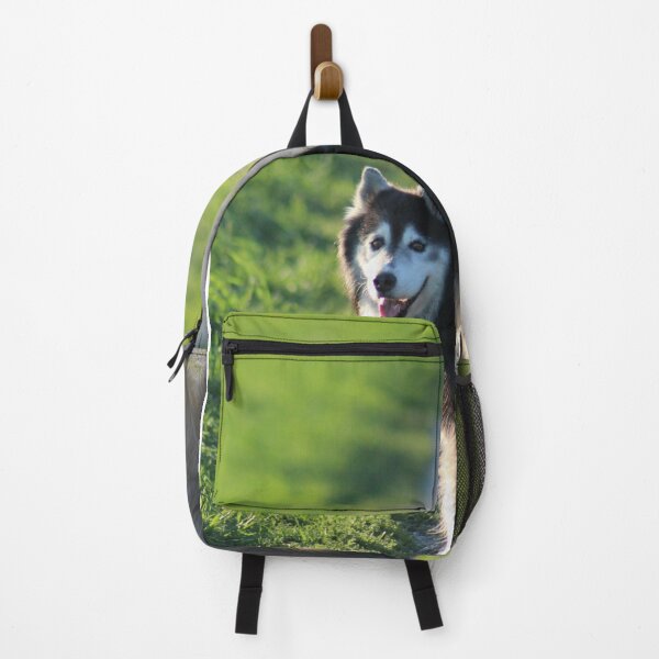 Item preview, summer husky on trail designed and sold by natchmiel.
