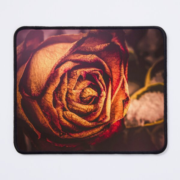 Item preview, Winter Rose designed and sold by Jim Love.