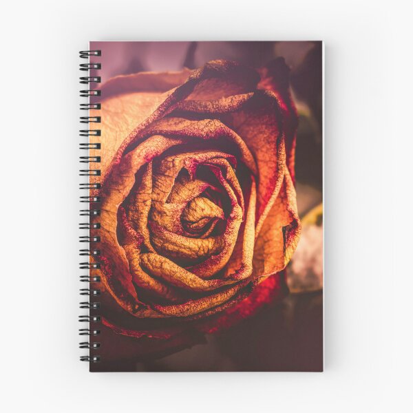 Item preview, Winter Rose designed and sold by Jim Love.