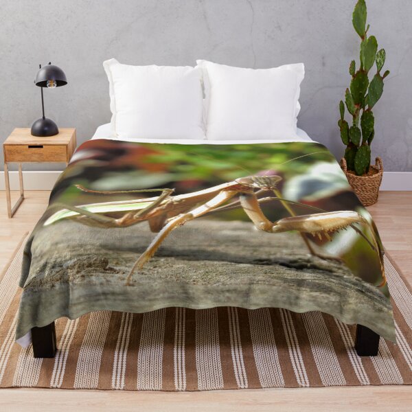 Item preview, Praying Mantis No.1 designed and sold by MaryLinH.