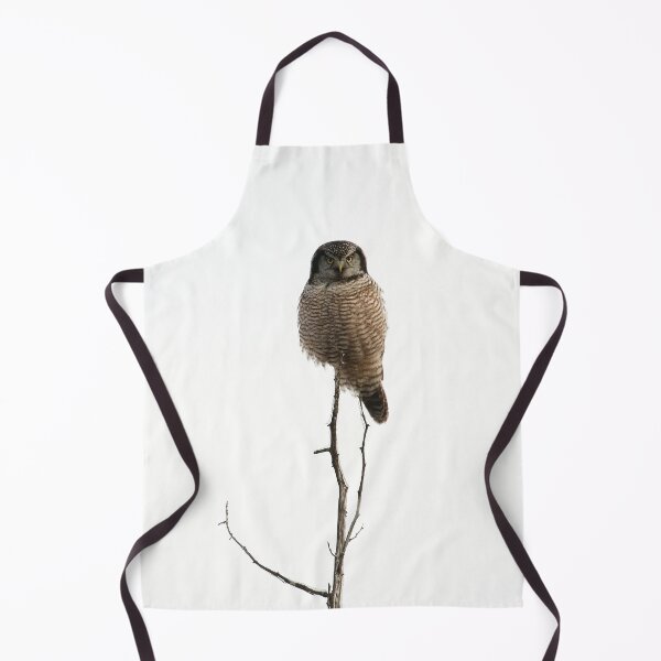 Item preview, Hawk Owl Tree Topper designed and sold by locustgirl.