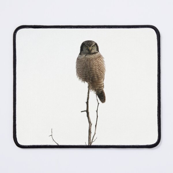 Item preview, Hawk Owl Tree Topper  designed and sold by locustgirl.