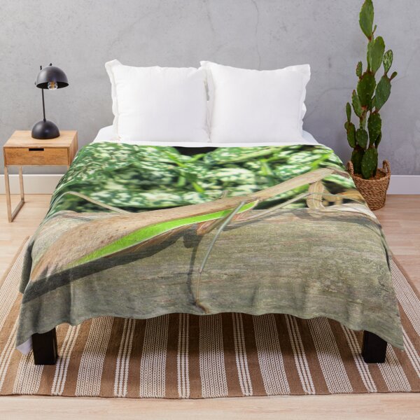 Item preview, Praying Mantis No.2 designed and sold by MaryLinH.