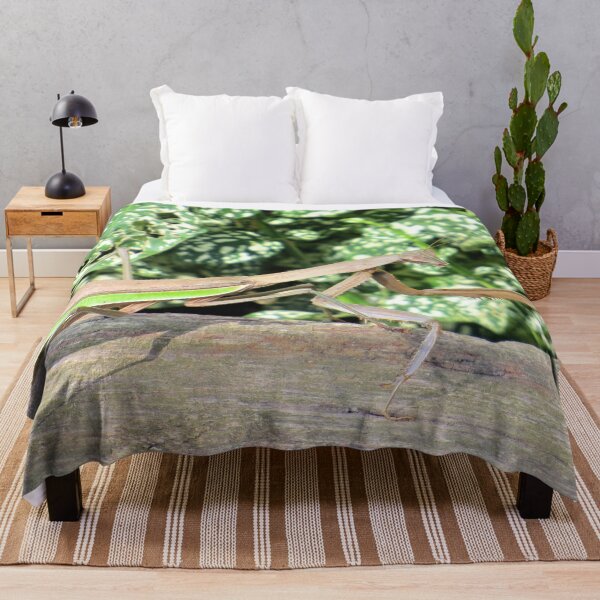 Item preview, Mantis Religiosa No.3 designed and sold by MaryLinH.