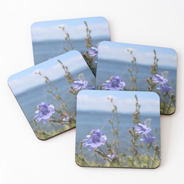 Item preview, blue flower spider web burlington vt designed and sold by natchmiel.