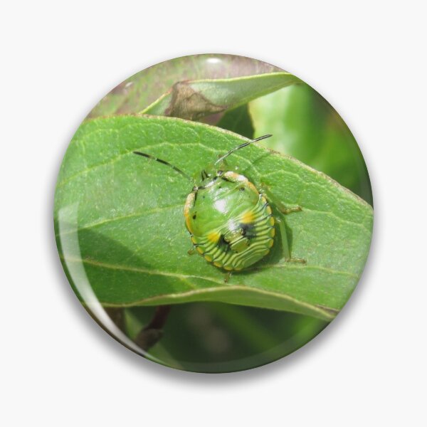 Item preview, Stink Bug Green No.1 designed and sold by MaryLinH.