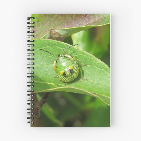 Item preview, Stink Bug Green No.1 designed and sold by MaryLinH.