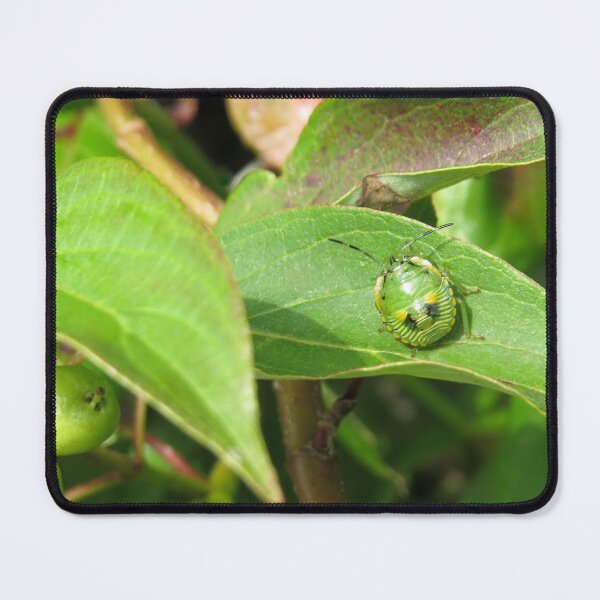 Item preview, Stink Bug Green No.1 designed and sold by MaryLinH.