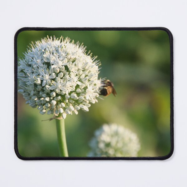 Item preview, honey bee on onions designed and sold by Lisa Peppers.