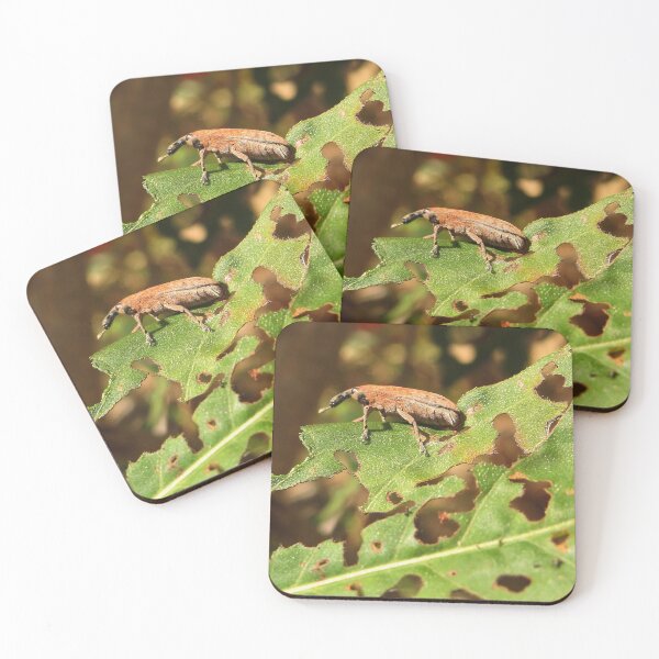 Item preview, Weevil No.1 designed and sold by MaryLinH.
