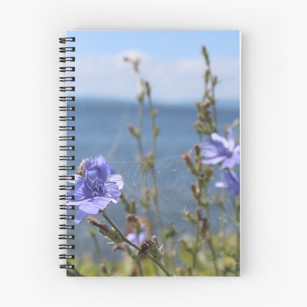 Item preview, blue flower spider web burlington vt designed and sold by natchmiel.