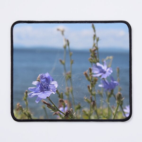 Item preview, blue flower spider web burlington vt designed and sold by natchmiel.