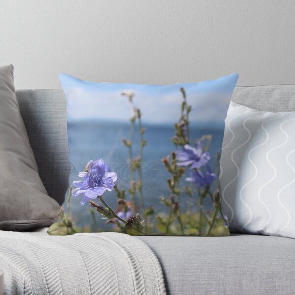 Burlington Pillows Cushions for Sale Redbubble