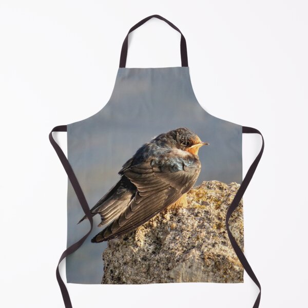Item preview, Swallow on a Rock designed and sold by MaryLinH.